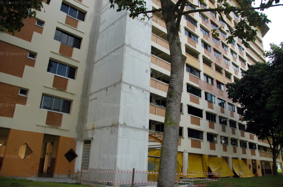Blk 244 Bukit Panjang Ring Road (Bukit Panjang), HDB 5 Rooms #225442